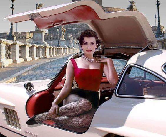 Sophia Loren (1)