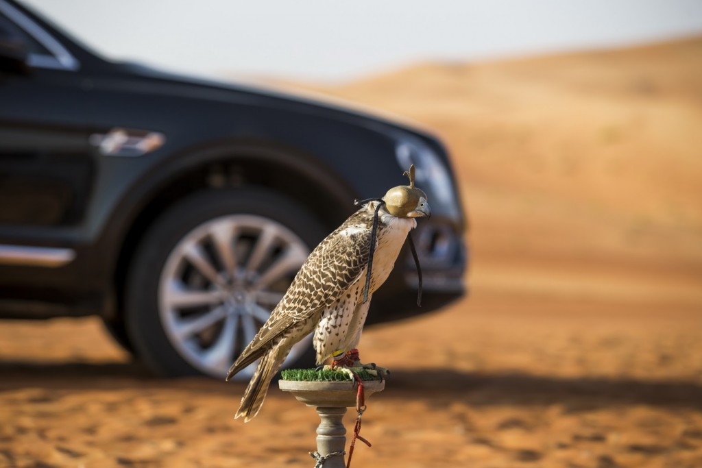 Bentley Bentayga șoim (9)