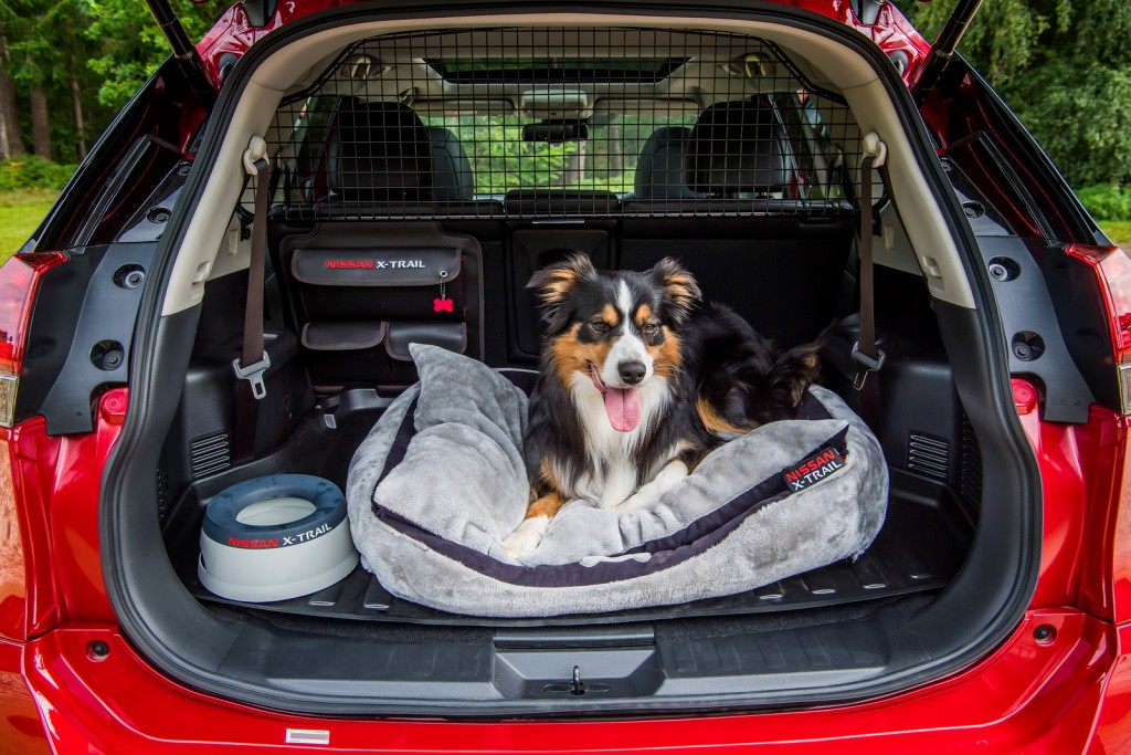 nissan-x-trail-paw-pack-6
