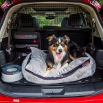 nissan-x-trail-paw-pack-6