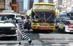 Orașul în care zebra te ia de mână și te ajută să treci strada