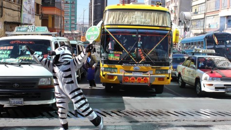 Orașul în care zebra te ia de mână și te ajută să treci strada