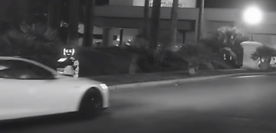 Promobot Tesla