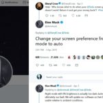 Sheryl Crow Elon Musk 2